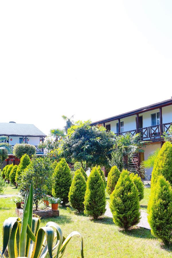 פיזונדה Guest House Alashara מראה חיצוני תמונה