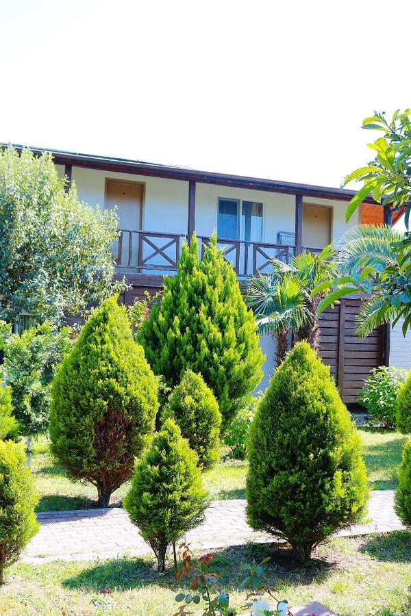 פיזונדה Guest House Alashara מראה חיצוני תמונה