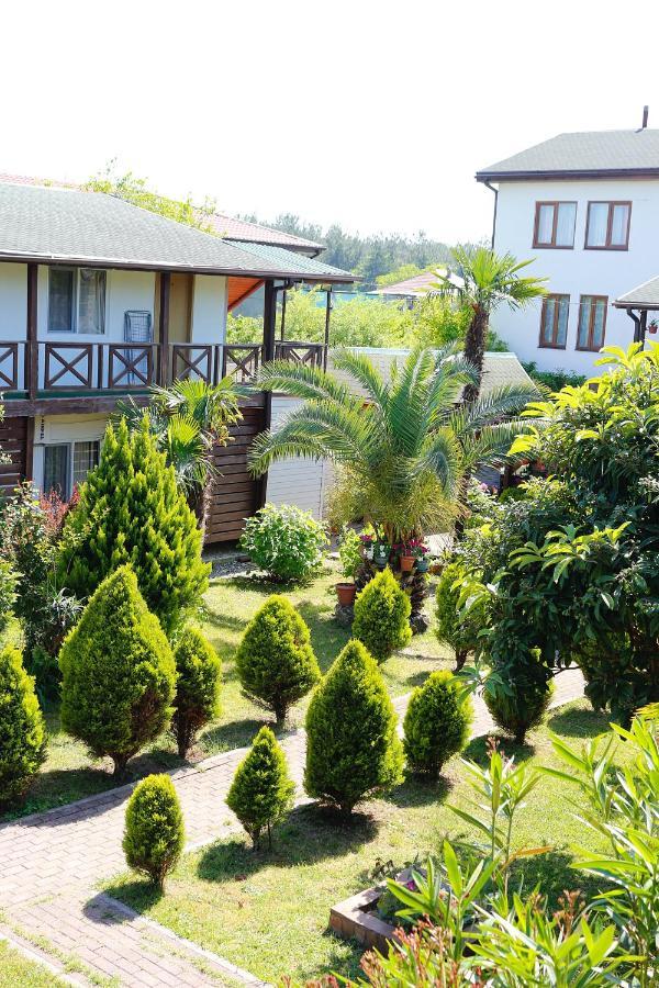 פיזונדה Guest House Alashara מראה חיצוני תמונה